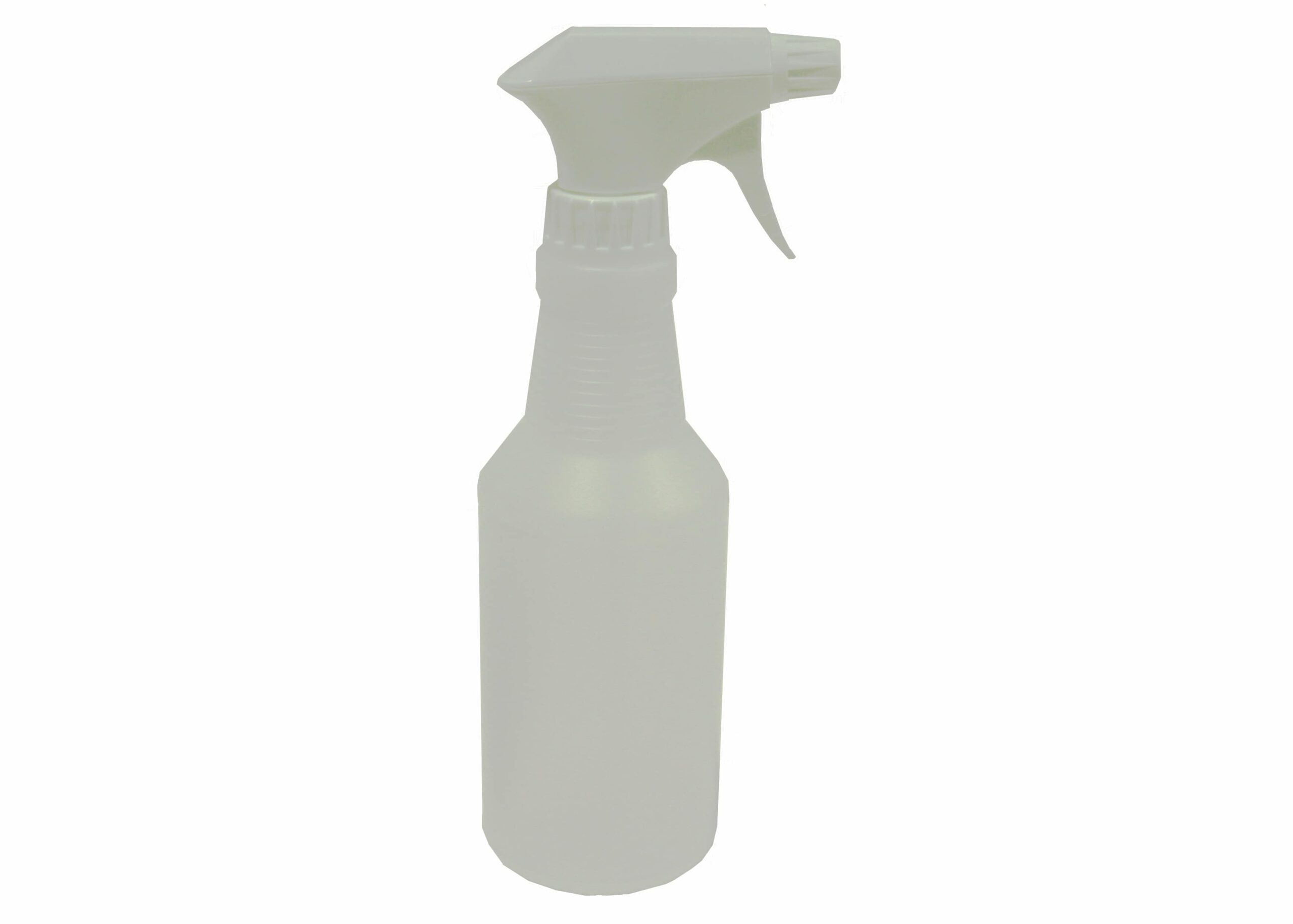 Empty Spray Bottle